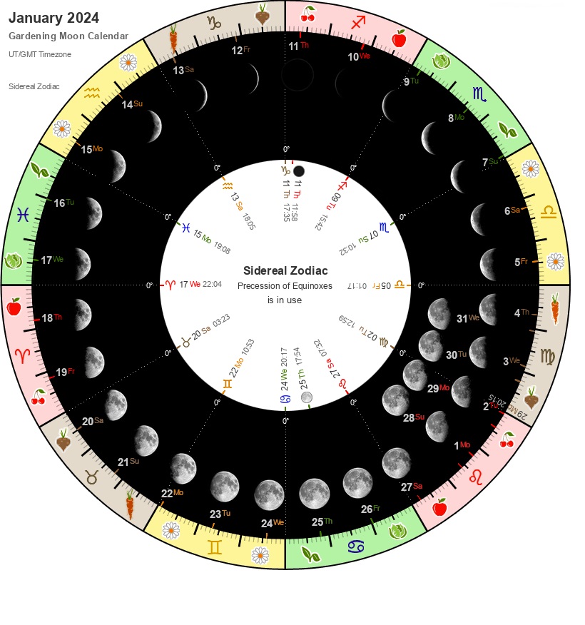 Free January 2024 Lunar Phases Calendar Printable