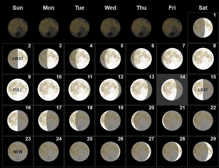 Full February 2020 Moon Phases Calendar