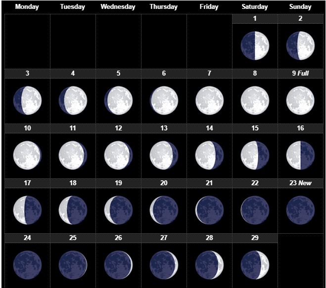 February 2020 Lunar Calendar