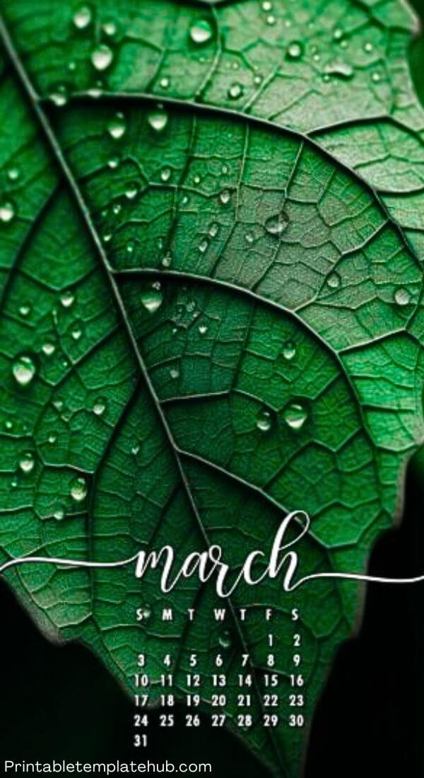 March 2024 Calendar for iPhone
